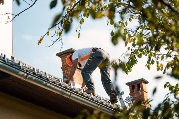 Best Roof Leak Repair  in Shawsville, VA