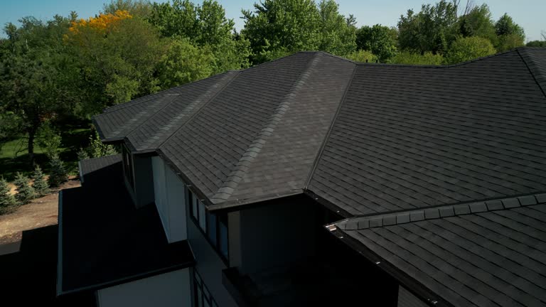 Best Roof Ventilation Installation  in Shawsville, VA